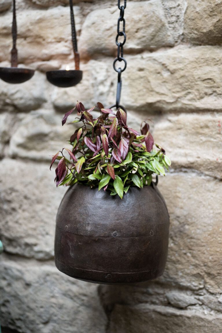 Well Bucket Planter