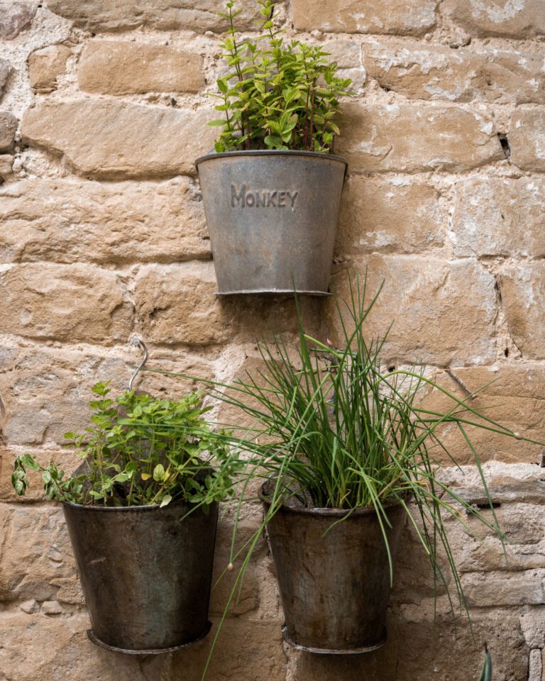 Bucket Wall Planter