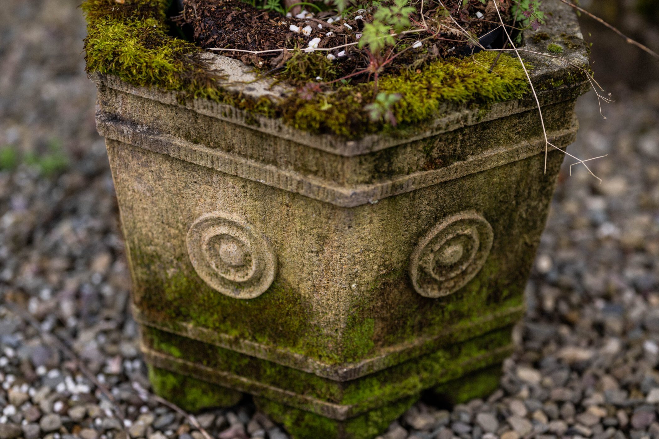 Jacobean Planter Gallery Image