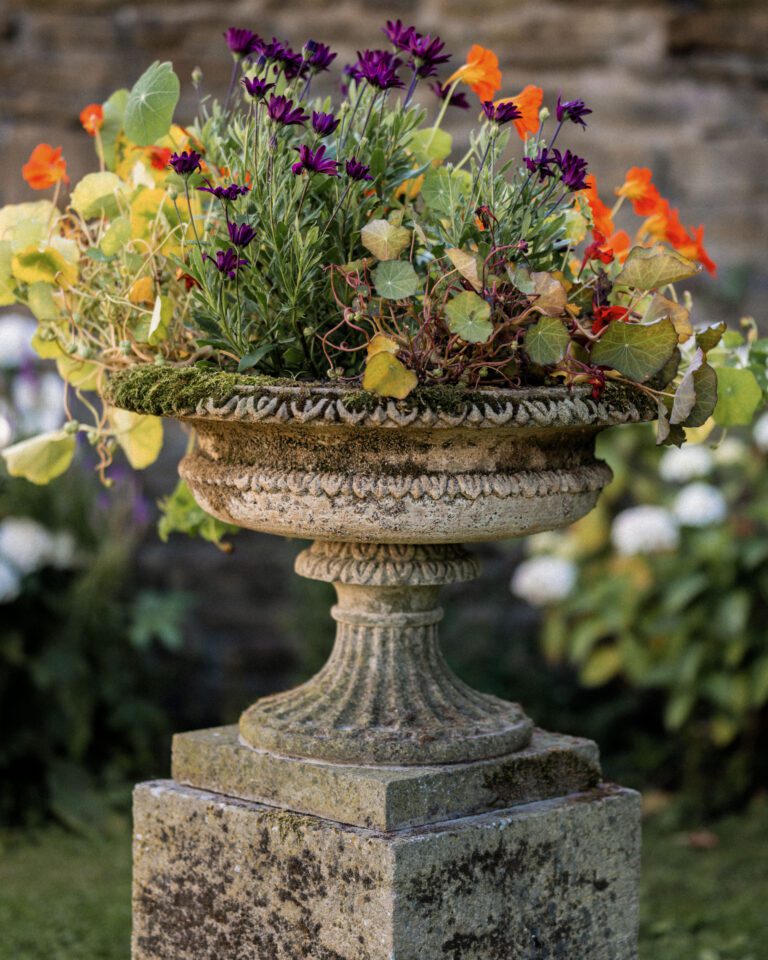 Coade Vase
