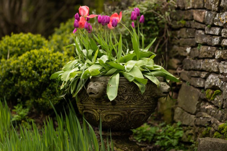 Versailles Urn