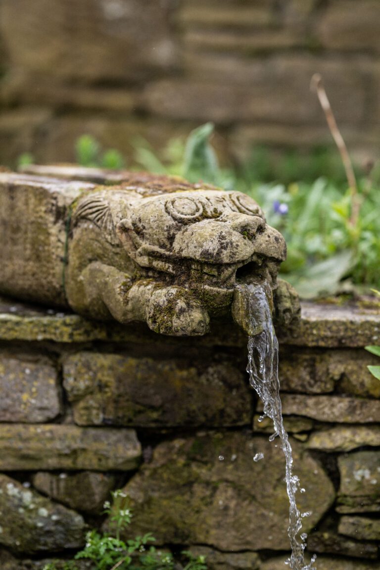 Carved Lion Water Spout
