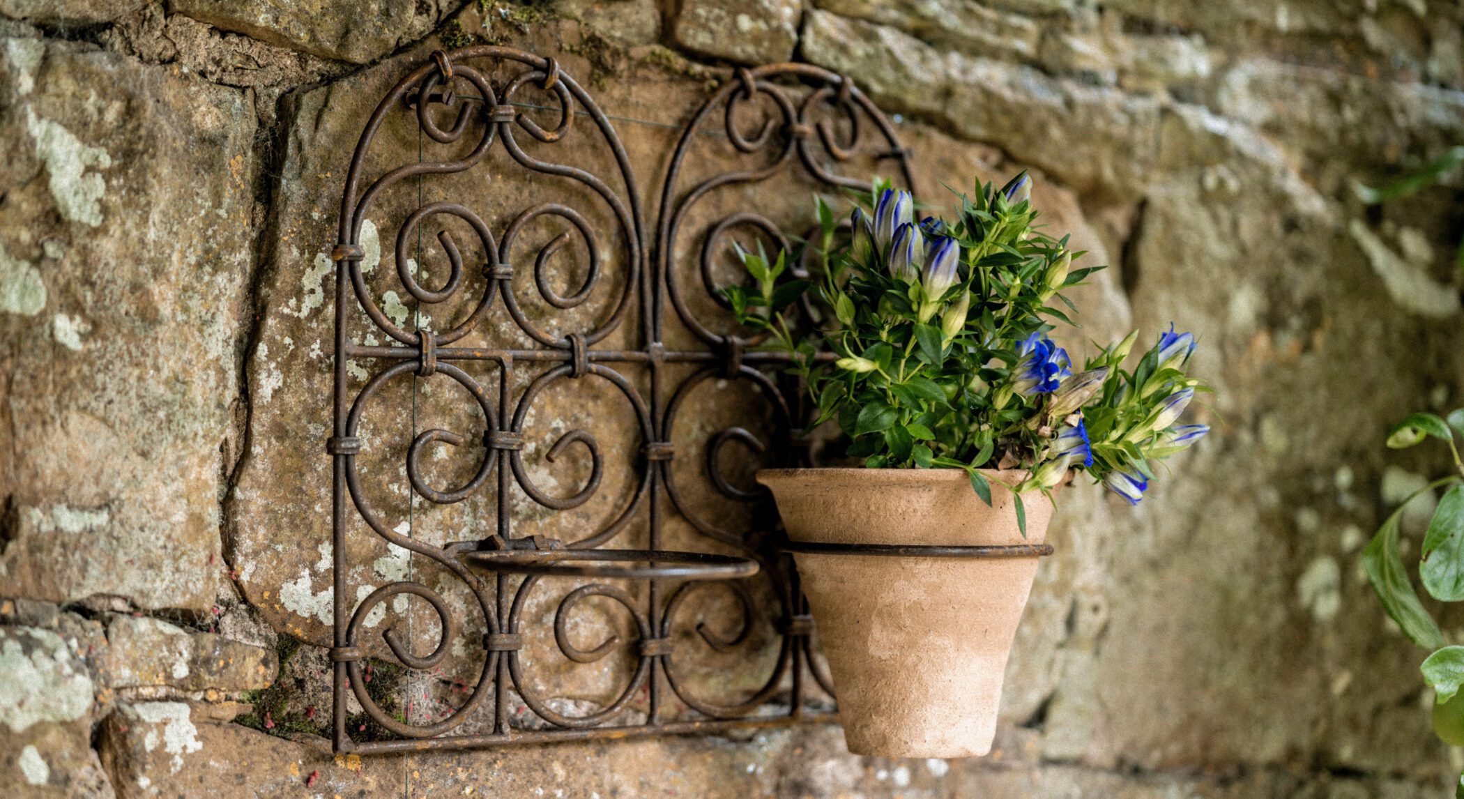 Double Wall Planter Gallery Image