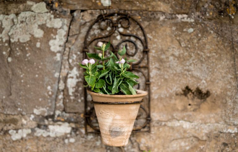 Single Wall Planter
