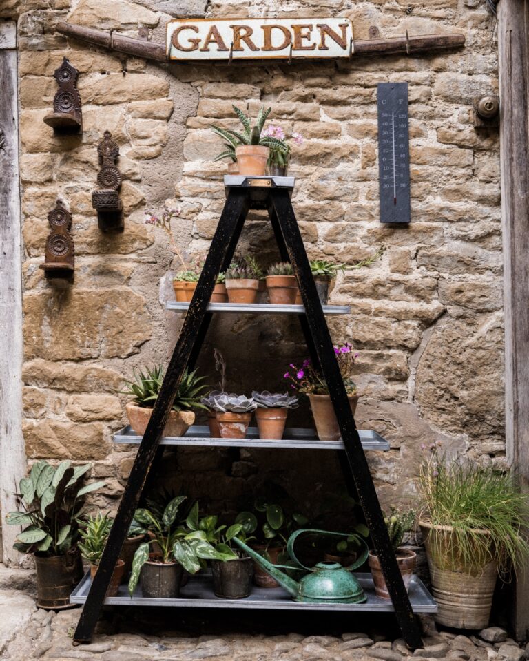 Plant Ladder