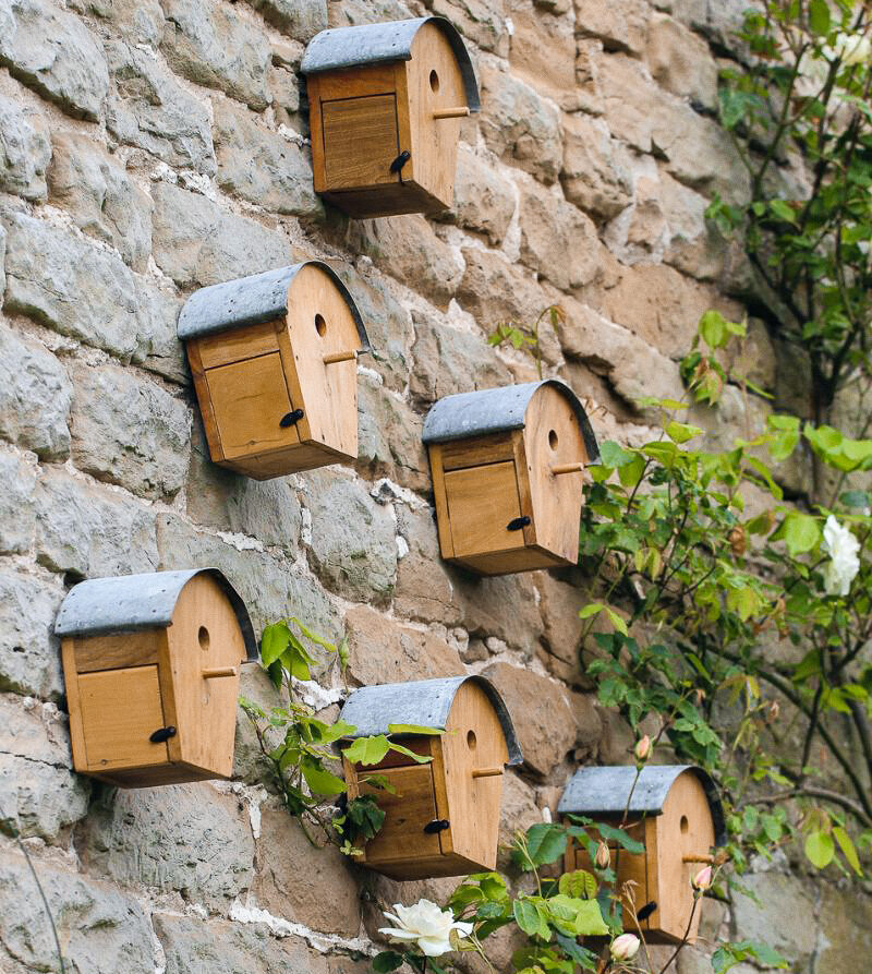 Nest Box Gallery Image