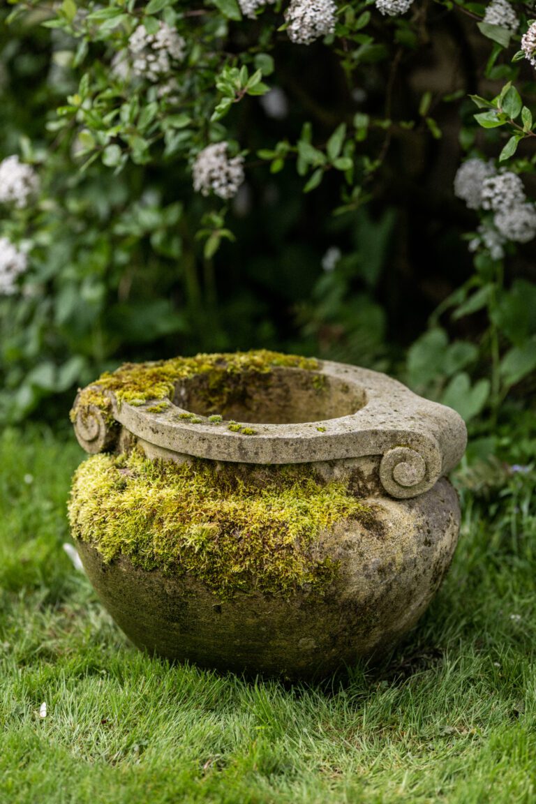 Compton Pot