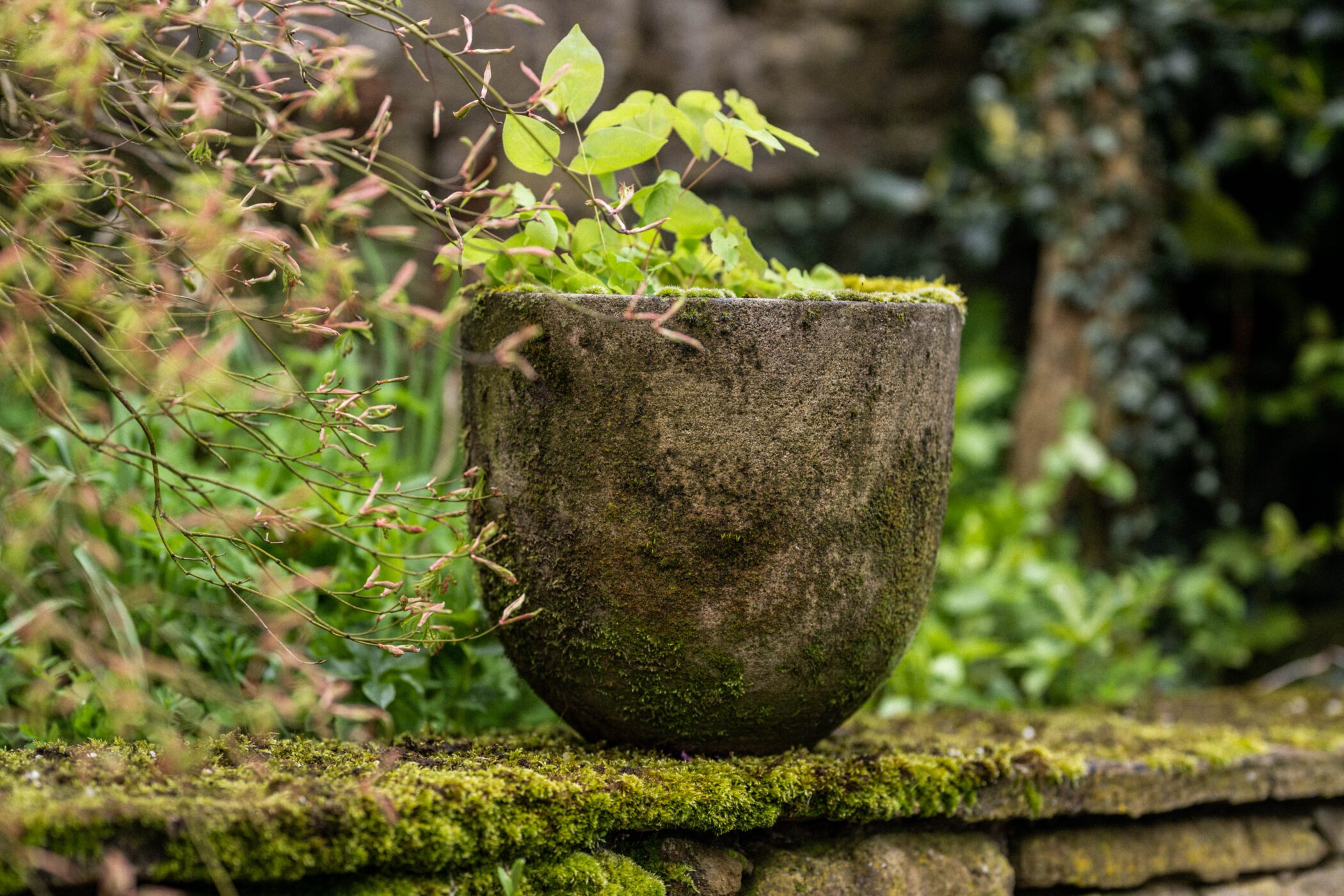 Small Kent Planter Gallery Image
