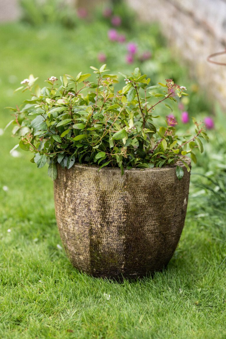 Large Kent Planter
