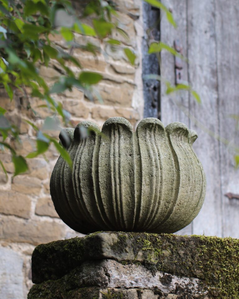 Curling Petal Pot