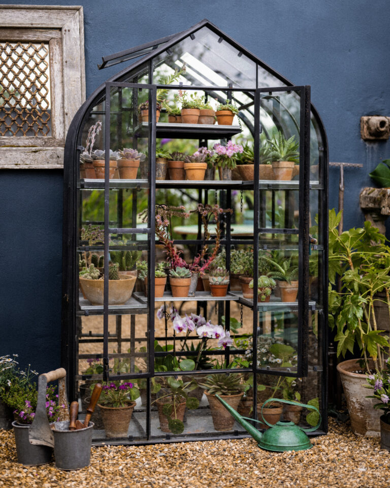 Wall Greenhouse