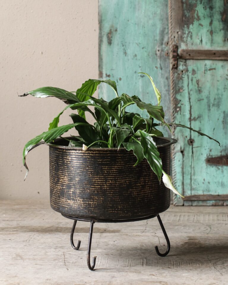Brass Cooler with Stand