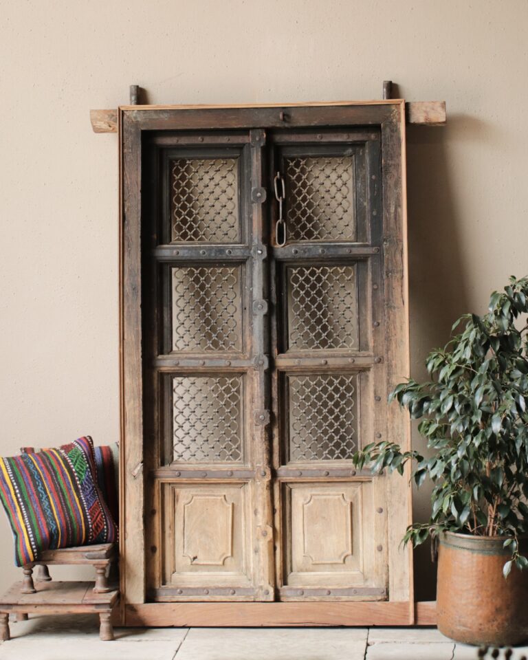 Shekawati Original Doors