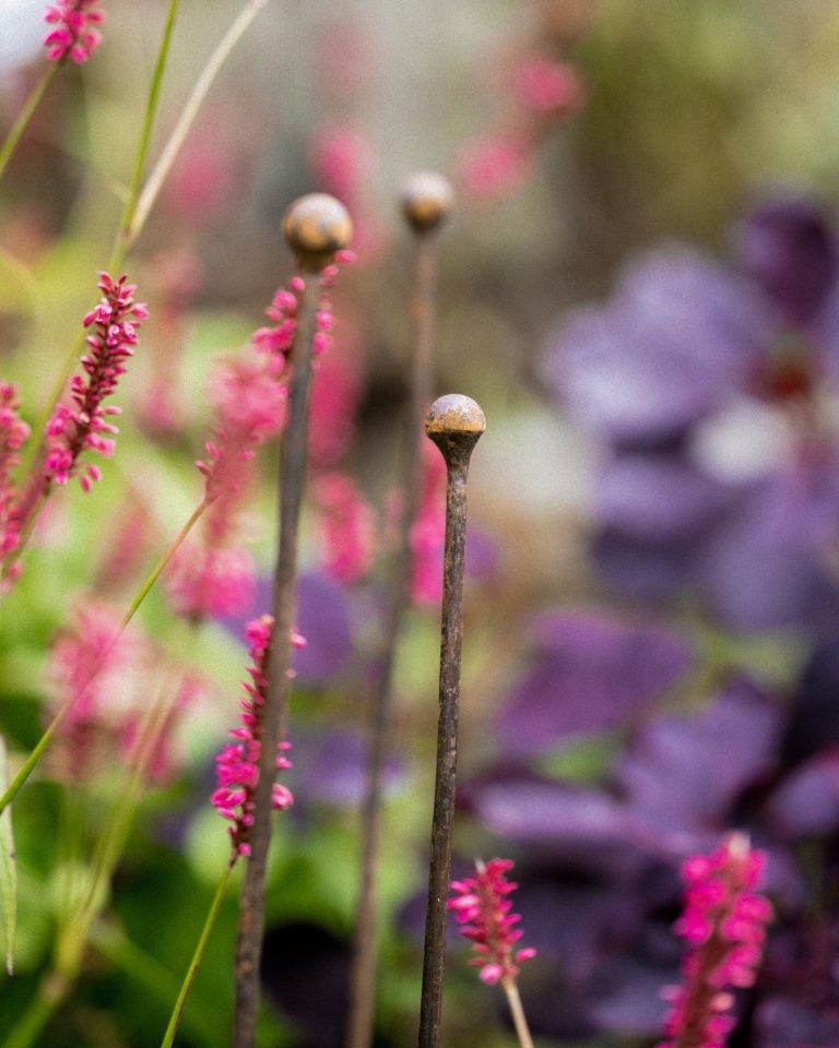 Set of 3 Plant Canes