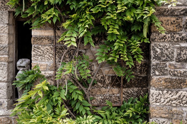 Wall Trellis